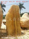  2.2米立石刻字黄蜡石 景观石 园林石 编号Y-4828