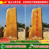  6.3米高立石园林黄蜡石 题名景观石 编号Y-4217