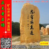 6.3米高广东石场直销大型景观黄蜡石 编号A6-055