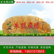 6.3米广东园林黄蜡石 景观刻字石 编号R-4516