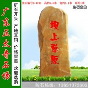 2.6米高广东刻字黄蜡石 园林石 编号B-3725