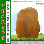 2米高广东黄蜡石 刻字标志石 编号M-2703