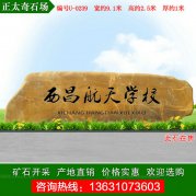 9.1米广东大型刻字黄蜡石 单位校园门牌石 编号
