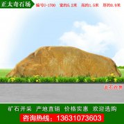  5.2米宽园林黄蜡石 风景石 编号U-1700