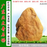 2.3米高广东黄蜡石 天然造型石 编号Y-5538