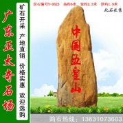 6米高广东黄蜡石 风景区招牌标志石 编号Y-0623