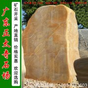 2.6米高园林黄蜡石 刻字招牌石 编号Q-1320
