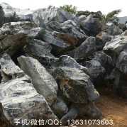 英德太湖石、绿化常用天然石材太湖石
