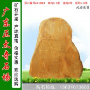 2.6米高广东黄蜡石 厂家批发刻字石 编号A5-2802