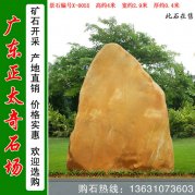 4米高广东黄蜡石 刻字招牌石 编号X-0055