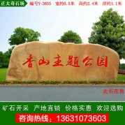 6.5米广东黄蜡石  公园景区刻字石 编号Y-3855