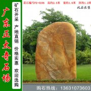 2.3米高广东黄蜡石 景区路标石 编号F2-0246