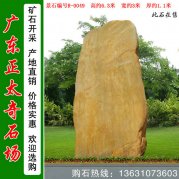 6.3米高广东黄蜡石 景区招牌石 编号R-0049