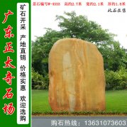 2.7米高园林黄蜡石 园林石 编号W-4333