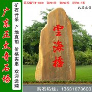 4米高广东黄蜡石 园林景观石 编号W-4800
