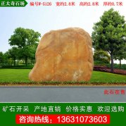 2.8米宽 中小型黄蜡石 村口景观石 编号W-5126