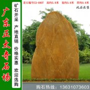 5.8米高 广东黄蜡石  景观刻字石 编号C2-0807
