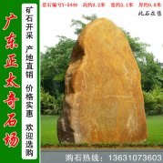  3.2米高广东黄蜡石 刻字招牌石 编号Y-5449