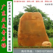  1.6米高 小区刻字黄蜡石 景观石 编号M-5203