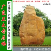  4.5米高校训石 天然黄蜡石 标志石 编号G3-0828