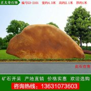  4.3米广东黄蜡石 校园文化石 编号G3-2101