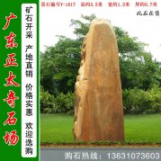  3.5米高广东黄蜡石 入口刻字标志石 编号Y-1617