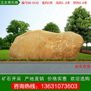  3米宽园林黄蜡石刻字宣传标语石 编号A6-0142