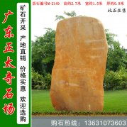  2.7米高园林黄蜡石 村口标志石 编号M-2149