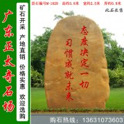  3.8米高刻字黄蜡石 校园点缀石文化石 M-1829