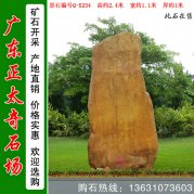  2.4米宽景观黄蜡石 校园刻字文化石 编号Q-5234