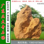 5米高广东景观石 天然黄蜡石 风水石 编号R-5411