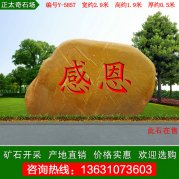 2.9米宽黄蜡石 社区校园文化石刻字石编号W-5857