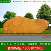 6.7米宽大型黄蜡石 刻字标识石 编号A5-4936