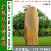 3.6米高广东黄蜡石 校区文化石 编号Y-1105