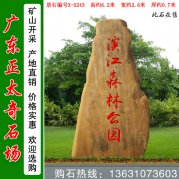 6.2米高大型黄蜡石 景区刻字招牌石 编号X-0243