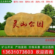 3.3米宽广东黄蜡石 景区公园招牌石 编号L-3650