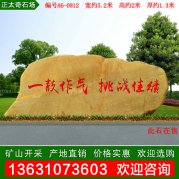 5.2米宽黄蜡石 企业刻字石 标语石 编号A6-0812
