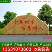3.4米黄蜡石 产地直销校区景观石 编号Q-1854
