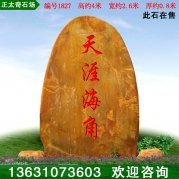 4米高广东黄蜡石 景区刻字招牌石 编号1827