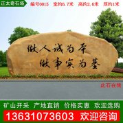 6.7米宽大型景观石 广东黄蜡石 文化石 编号0015