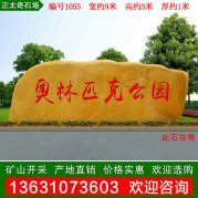 9米宽大型广东黄蜡石 企业景区招牌石编号1055