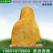 3.2米高广东景观黄蜡石 公园小区摆放石 编号24