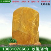 2.1米高厂家直销黄蜡石 文化石 编号1824