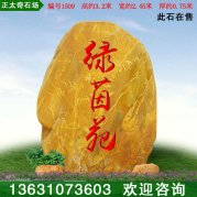 3.2米高广东景观黄蜡石 摆放标识石 编号1509