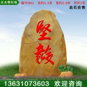 4.3米广东黄蜡石 园林石 校训文化石 编号3641