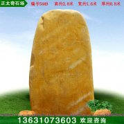 2.8米高广东黄蜡石 厂家批发刻字石 编号5449