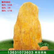3.5米高批发广东黄蜡石 园林景观石 编号0600