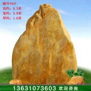 5.3米高大型黄蜡石 村口景区标志石 编号4447